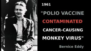 Blind faith in vaccines based on the double polio-myth: the 'pandemic' and it's 'vaccine'
